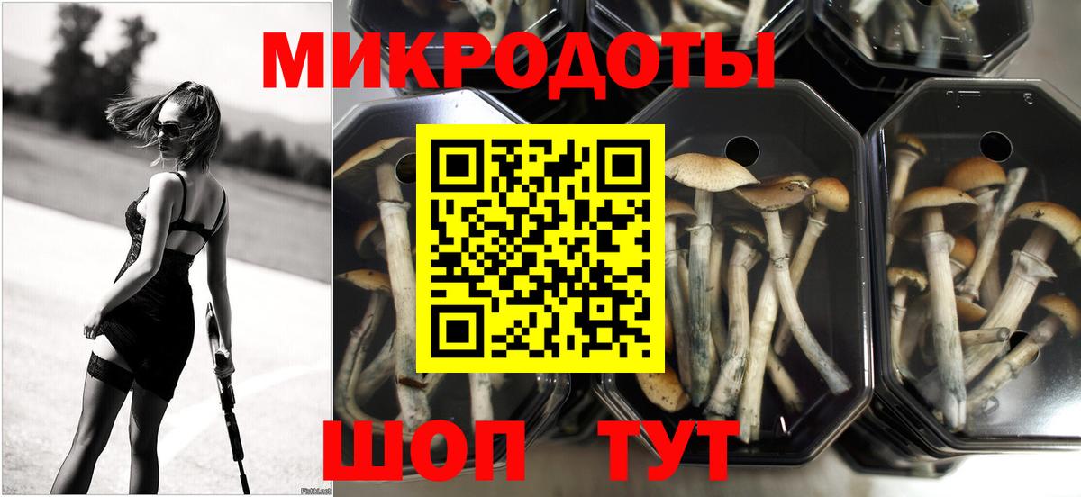 Галлюциногенные грибы Magic Shrooms Самара